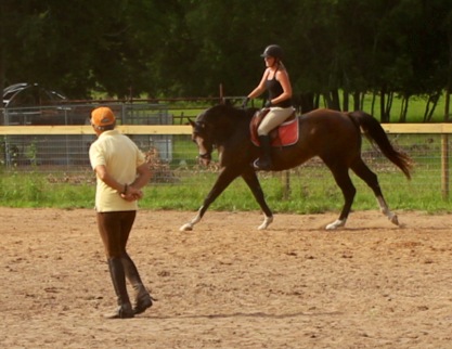 Look at the stretch in this canter!