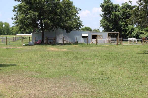 Looking a little less green but so much more complete.