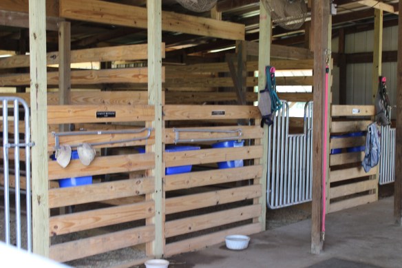 Stalls built now.