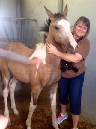 My first time to see and touch my new filly. A big smile in the midst of some dark days.
