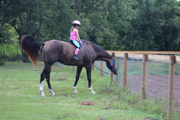 Nearing the end of his days