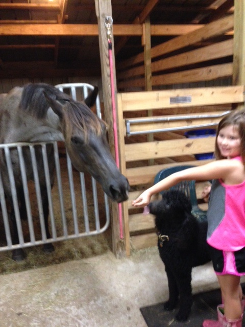 Jordyn and Kona getting to know Kalani.