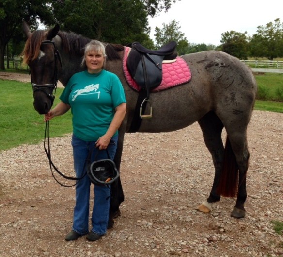 At 16 hands, she Cary's those big-bone Hancock genes.