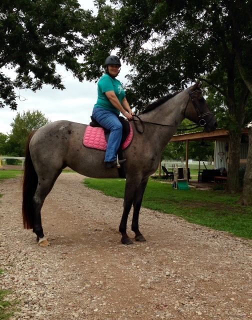 Felt so great to get my tack out and ride my horse!