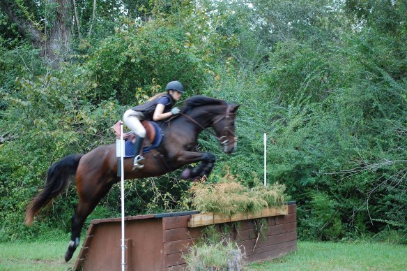 Mickey was made for eventing.  What a great time he had.
