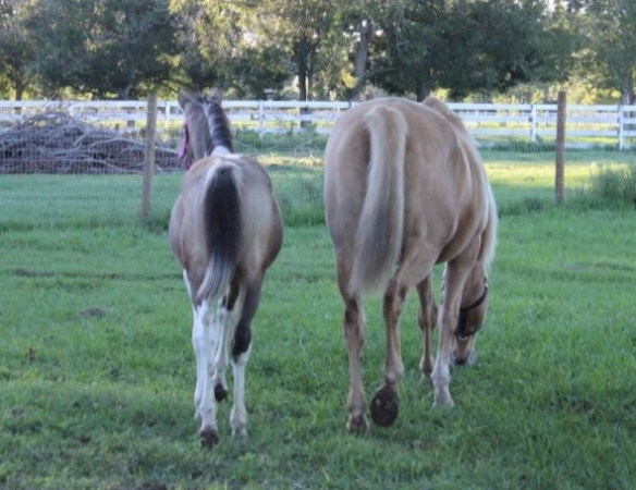 First taste of Texas.