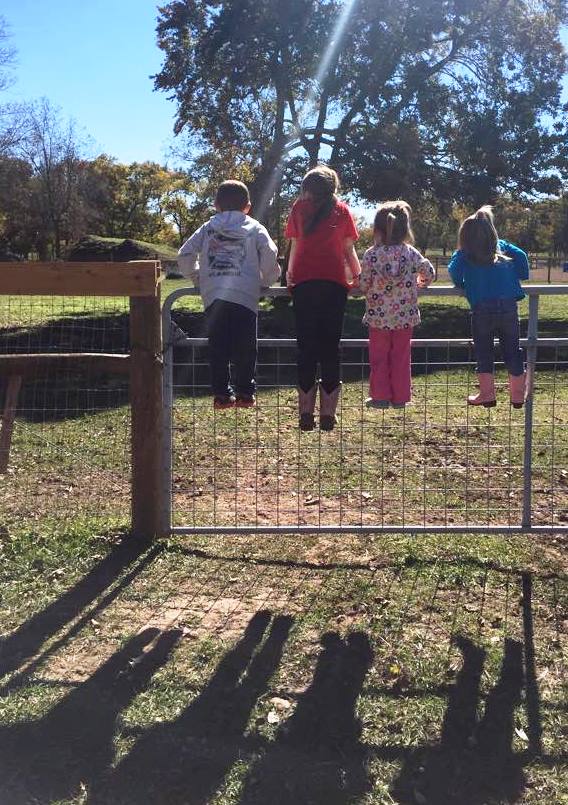 The grandkids hanging on the back fence, Riley, Jordyn, Lexi and Kendyll
