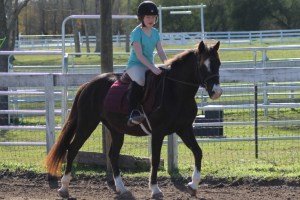 Off Bella went amid guns and engines roaring.