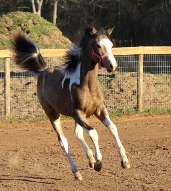 Getting her romp on!