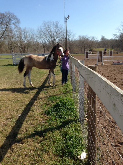 Wendy with Betty Sue.  She tsaught Betty to break into the tackroom for treats and many other illegal activities.