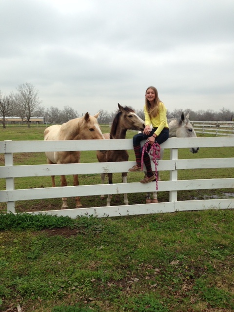 Mia hanging with the mares
