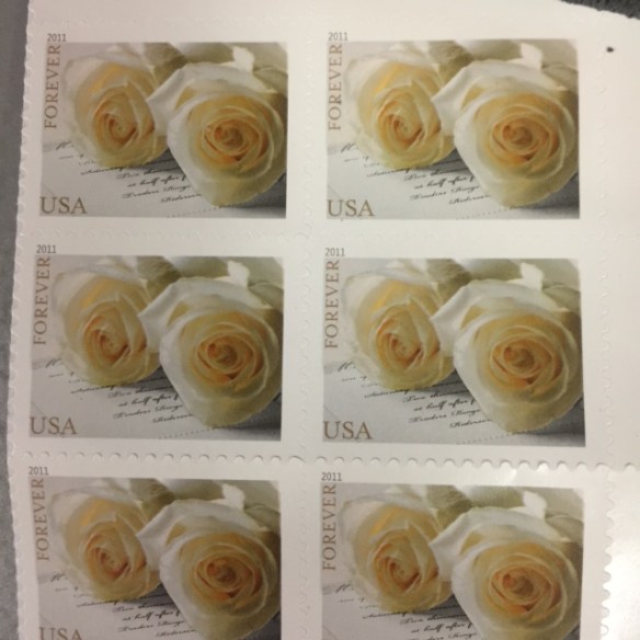 The stamps I bought as I sent my mother's stock certificate away. My father's favorite rose was the John F. Kennedy rose and this is it. Wierd.