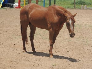 Looking swell at 30.