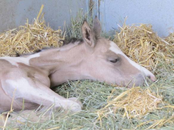 One year ago, newly born Betty Sue