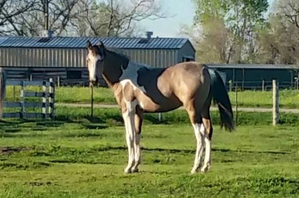 Happy Birthday Betty Sue!