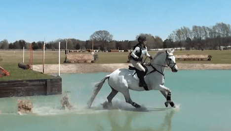 1009869_304549423030823_6408584568034055608_n