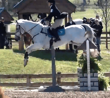 10156075_304549393030826_6348694369867436554_n