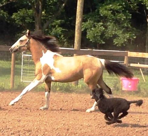 Back in my day we would have said, "Kona is really booking it," here.