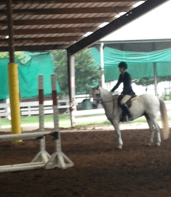 Mia and "Just George", borrowed from Lynn Criner had a great first show.