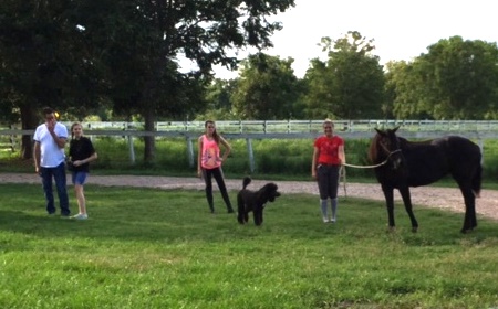 Alex and Lauren holding Jete' as they wait for Kit to unload. Of course, Kona is on the job making sure all is going well.