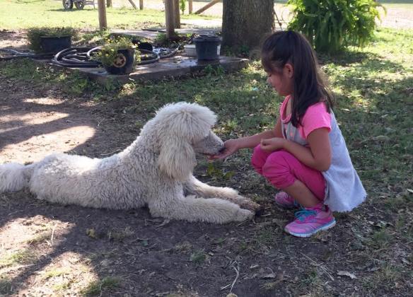 Allyson's five year old sister Gabby spending so calm time with Maui Jim.