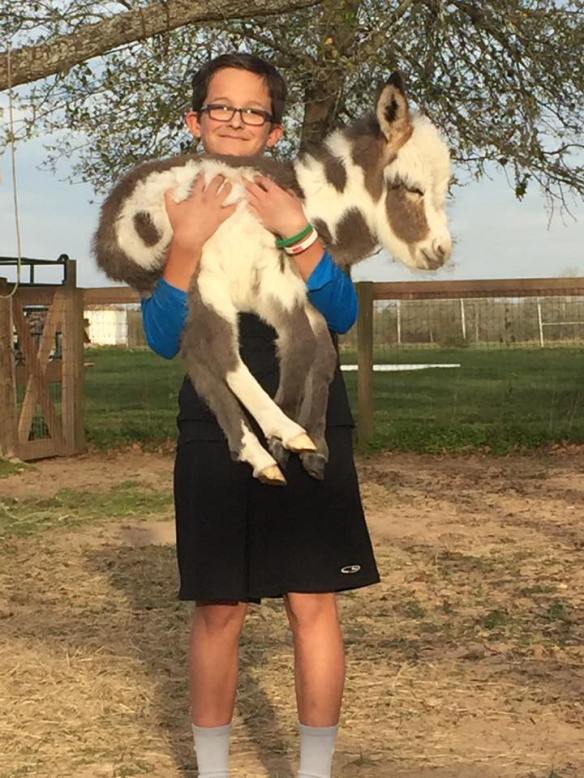 17098650_10212224135029029_344198852642370540_n